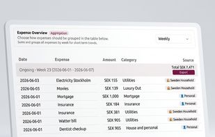 Expense overview