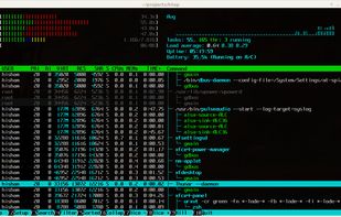 htop screenshot 1