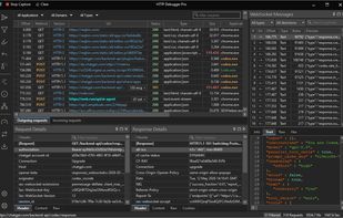 Live capture of AI agent and browser traffic with WebSocket messages