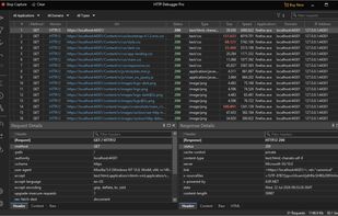 Localhost and 127.0.0.1 traffic captured without loopback workarounds