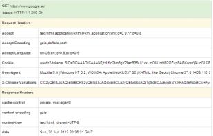 HTTP Headers screenshot 2