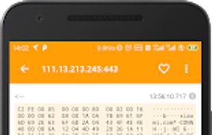 HttpCanary screenshot 2