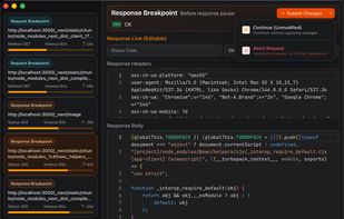 Request/Response Breakpoint