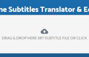 Translate Subtitles screenshot 1