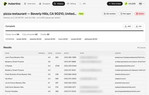 Results table: every business with its phone, website, email and social profiles (emails blurred here).