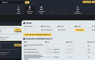 Compromised employees of disney.com shown in Bayonet