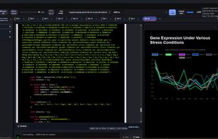 Data Analysis, generating charts with dataset with Realtime visualization/preview.