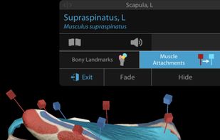 Human Anatomy Atlas 2020 screenshot 2