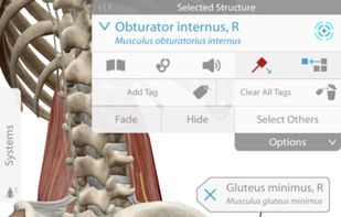 Human Anatomy Atlas 2020 screenshot 1
