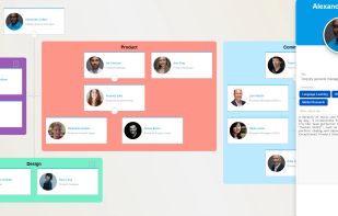 Orgchart's employee view