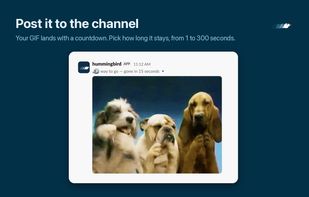 The GIF posts to the channel with a countdown. Each workspace picks how long it stays, from 1 to 300 seconds.