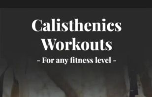 Hybrid Calisthenics screenshot 1