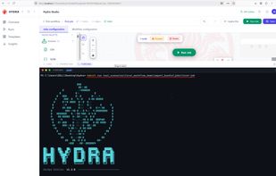 Hydra cli