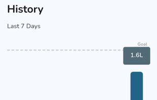 7 day history
