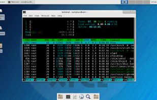 Hyperbola GNU/Linux-libre screenshot 2