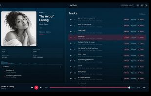 View album details, lossless audio information, tracks, queue and Up Next in one place
