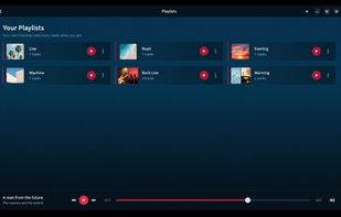 Create and manage personal playlists from your local music library.
