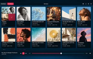 Browse your local music library with album artwork, playlists and playback controls.