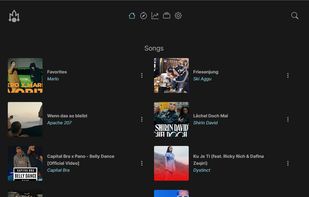 List of songs and music player at the bottom