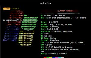 Windows running Powershell and Oh My Posh