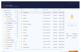 iBeesoft Data Recovery screenshot 1