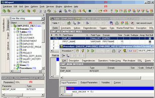 The standard IBExpert screen.