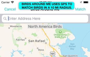 iBird Pro Guide to Birds screenshot 3