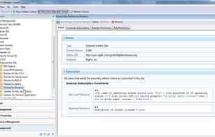 IBM BigFix Patch screenshot 1