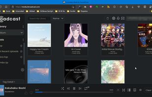 iBroadcast screenshot 1