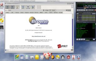 IBrowse screenshot 3