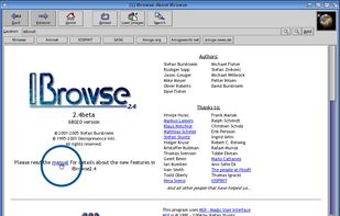 IBrowse screenshot 1