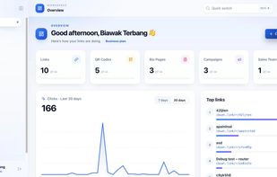 Dashboard overview with clicks, top links and plan usage