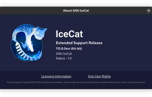 GNU IceCat screenshot 1