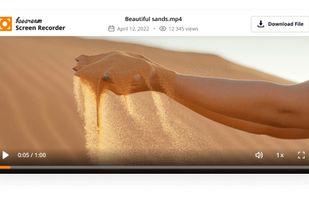 Icecream Screen Recorder screenshot 2