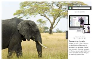 iClipboard screenshot 1