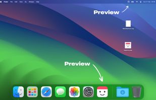 Icon Preview screenshot 1