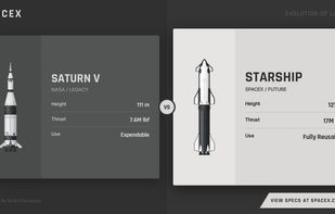 Iconly AI screenshot 1