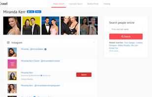 IDCrawl screenshot 1