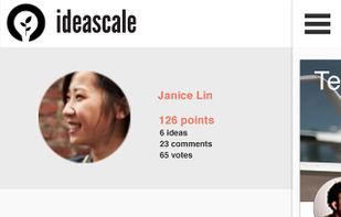 IdeaScale screenshot 2