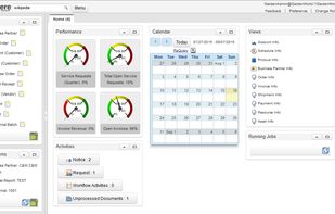 iDempiere screenshot 1