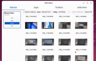 iDescriptor screenshot 1