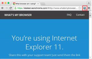 IE-on-Chrome screenshot 1