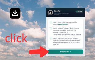IG Follower Export Tool screenshot 1