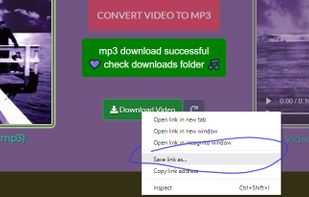 IgMp3 - Instagram Mp3 Converter screenshot 3