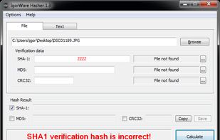 IgorWare Hasher screenshot 3