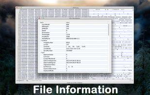 File Information Window