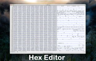 Inside the hex editor