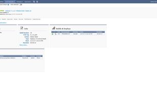 Overview of the current Level Request (Build, Test, Production).