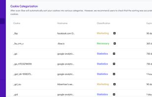 Automatic cookie categorization