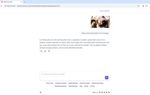 Experience precise visual analysis. Ask the conversational AI to describe the image and get a detailed, natural language picture description in seconds